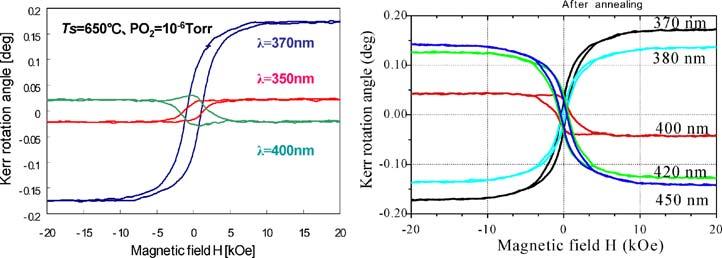 CEMS study on diluted magneto titanium oxide films prepared by pulsed laser deposition 1067 Figure 3 Hysteresis of the Kerr rotation angle on magnetic field and at various wavelengths before and