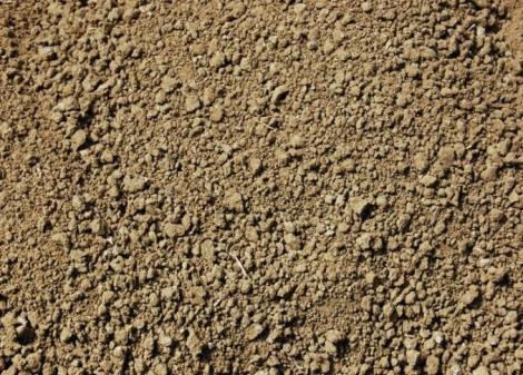 Sandy loam soil from