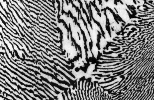 Microstructures in Eutectic Systems: III C o = C E Result: Eutectic microstructure (lamellar structure) --alternating layers (lamellae) of a and b crystals.