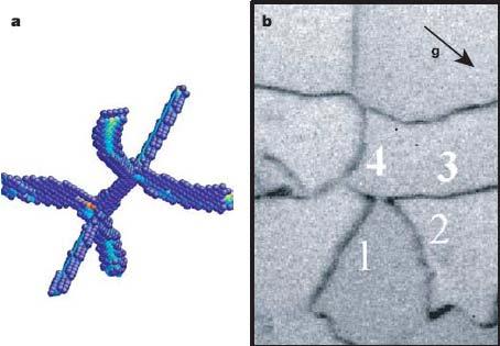 Nodes and Dislocation Networks Schematic of a Frank net in a well-annealed crystal Atomic simulation and TEM image of a