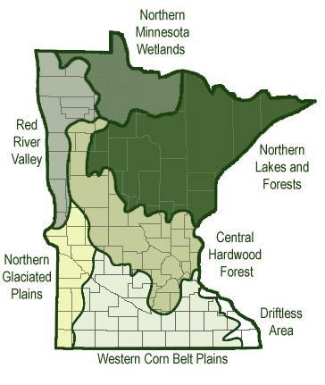 Ecoregion Comparisons Minnesota is divided into 7 ecoregions based on land use, vegetation, precipitation, and geology (Figure 12).