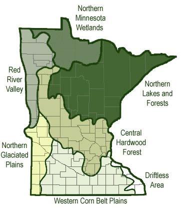 Ecoregion Comparisons Minnesota is divided into 7 ecoregions based on land use, vegetation, precipitation and geology (Figure 13).