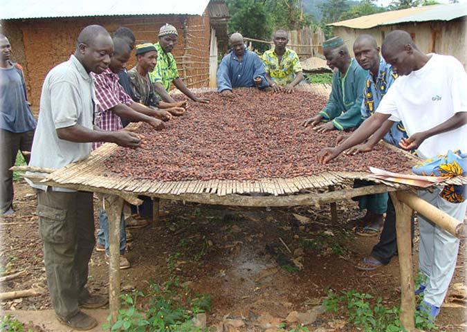 The growers that will emerge will be those properly equipped to manage agriculture, business and