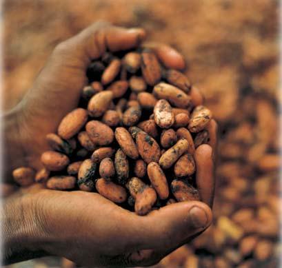 2. Such plans must consider: c) How their cocoa sectors can benefit from the rising demand for cocoa in Asia, especially China. d) Ways of improving local cocoa consumption.