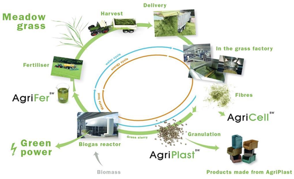 Grass silage provided by seven local farmers, biogas digestate supplied to same farmers as fertilizer Biowert Green Biorefinery, Germany Grass silage to biocomposites, grass eco-insulation, amino