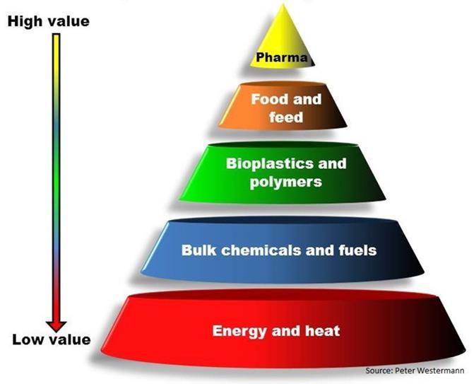 Adding Value in the Bioeconomy The Bioeconomy encompasses the production of