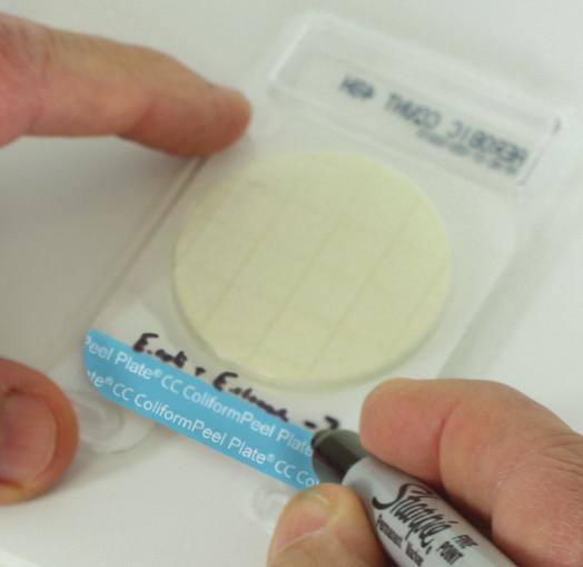 7 Peel Plate CC Test Procedure Step 1 Label plate on clear side using marker or bar