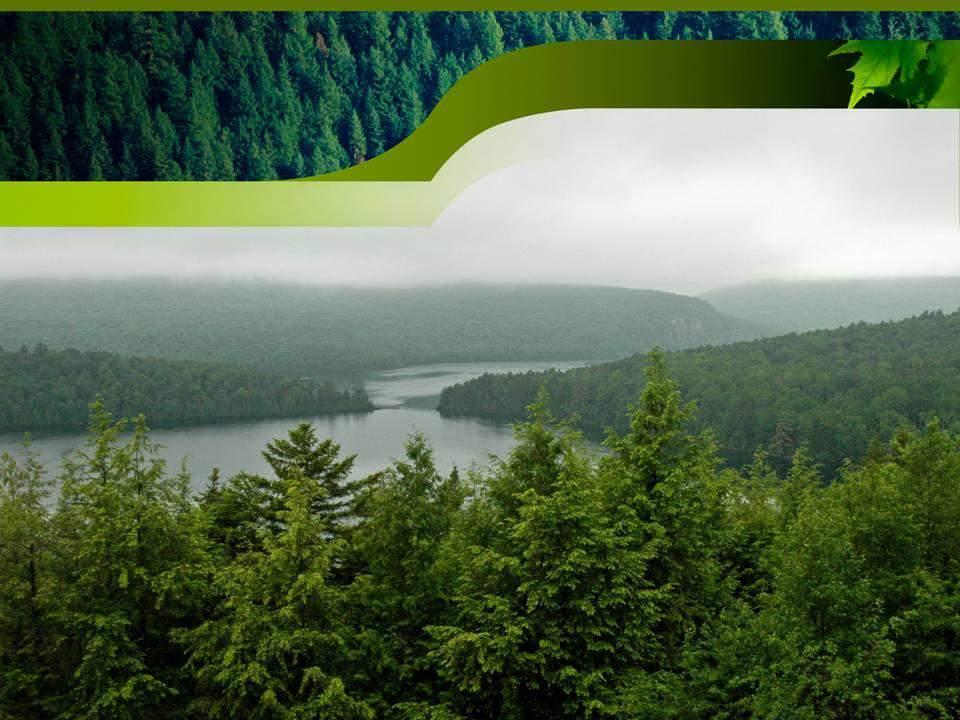 Canadian Forest Forest Policy Policy Sustainability is in is in the public interest Sustainable forest management maintains and enhances the longterm health of forest ecosystems for the