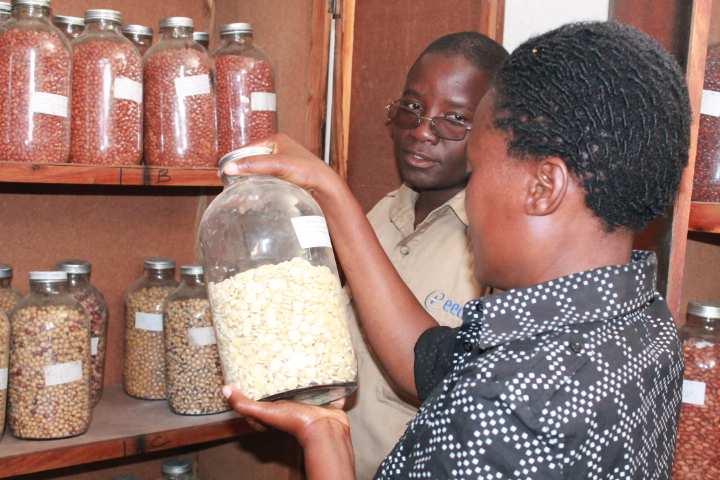 Community Seed Banks are being used as one of the