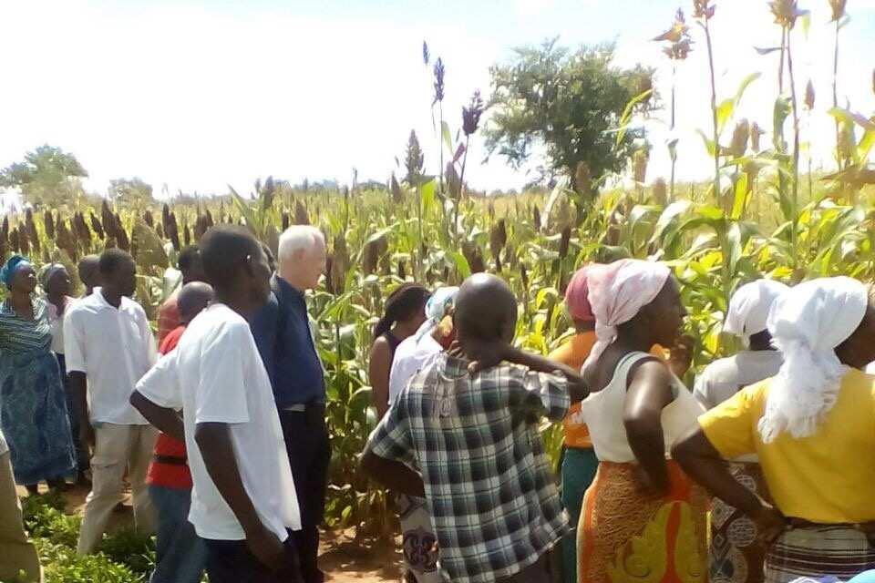 Smallholder farmers