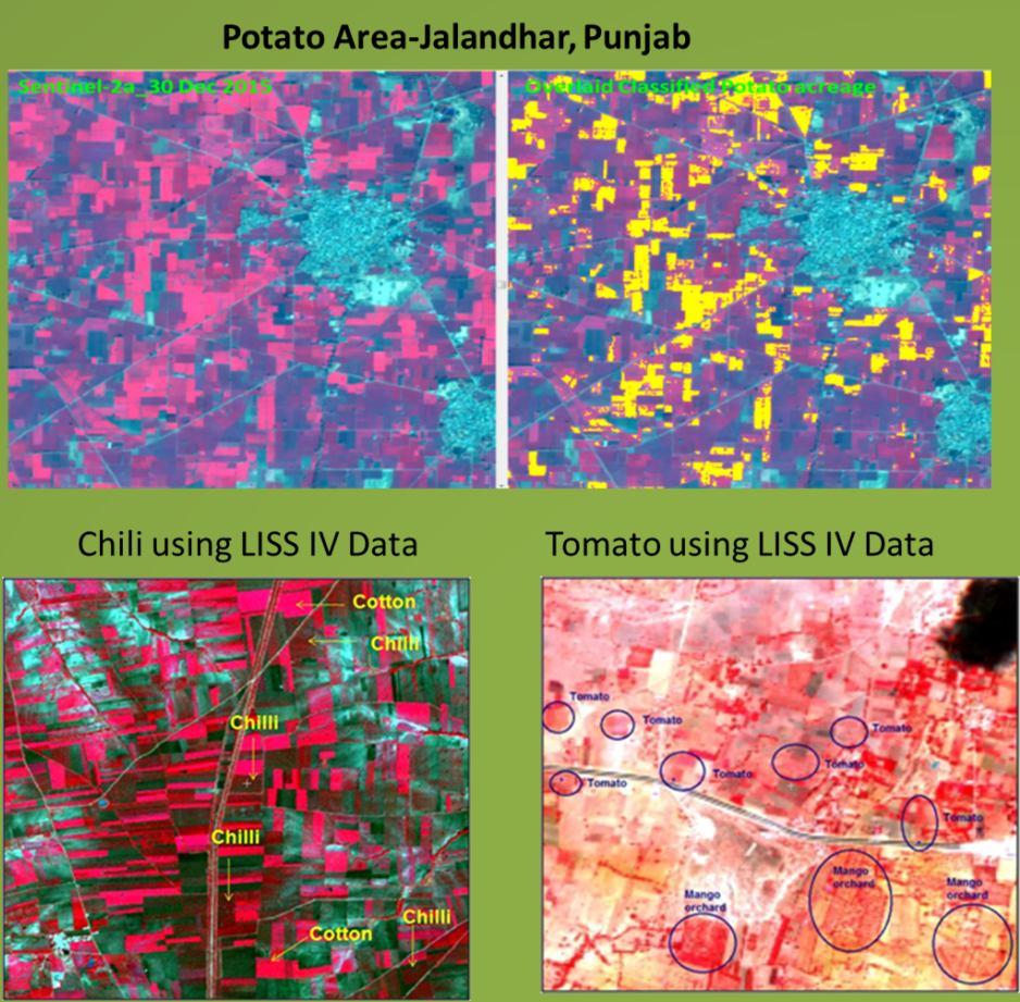Geospatial Applications for Horticultural Development and Management Planning R&D studies for crop identification,