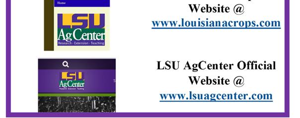 This information will also be posted to the LSU AgCenter website where additional rice information can be found. Please visit www.lsuagcenter.com.