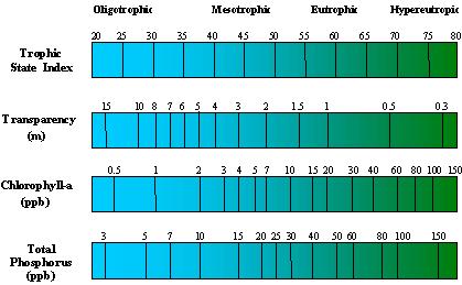 Carlson s Trophic State Index Oligotrophic low nutrients, low algal biomass, high clarity, dissolved oxygen throughout water column Mesotrophic moderate nutrients and algal biomass, some clarity