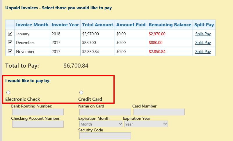 Step 7: Select an Invoice Month(s).