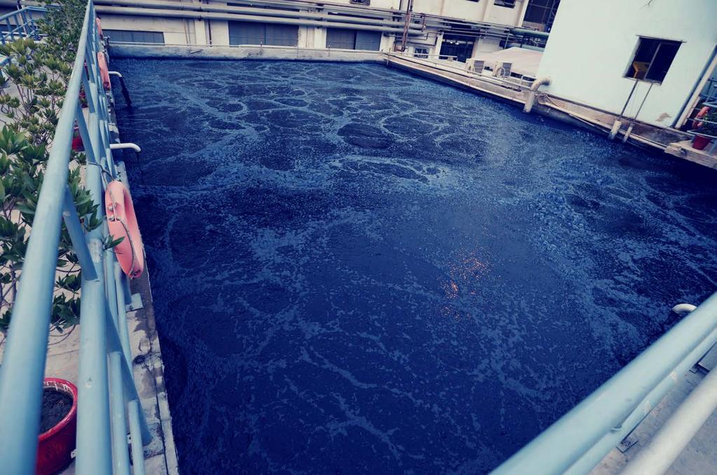 WATER TREATMENT One of the biggest dangers to marine life is the huge volumes of waste water continuously drained directly into rivers, streams and the ocean itself.