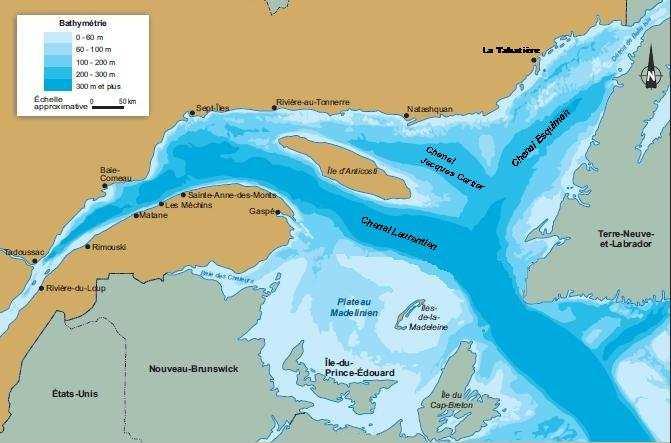 Estuary and Gulf of St. Lawrence: Main features ERI Semi-enclosed sea: Surface about 226,000 km 2 (Gulf) and 9,400 km 2 (Lower Estuary).