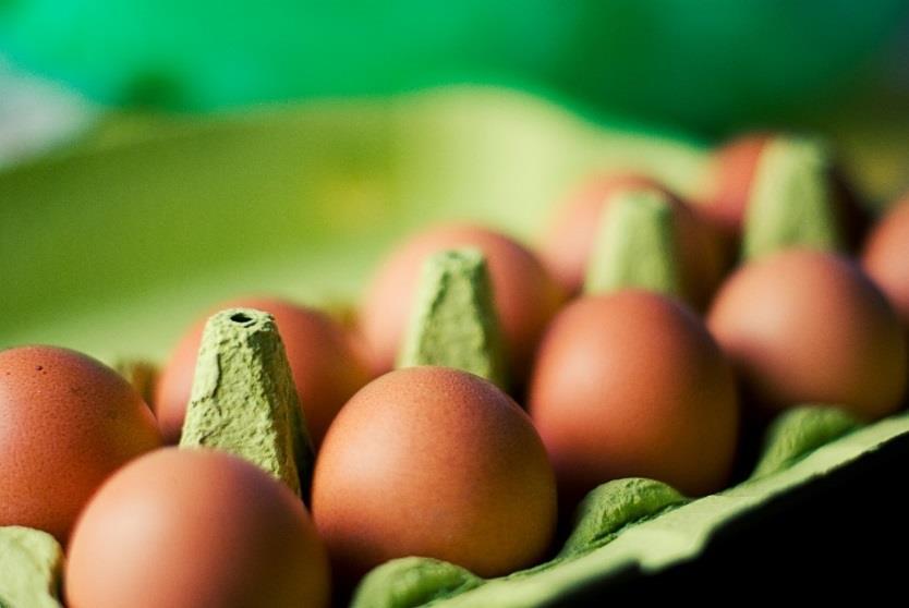 Egg Handler Registration Allows sales of eggs within the state of California.