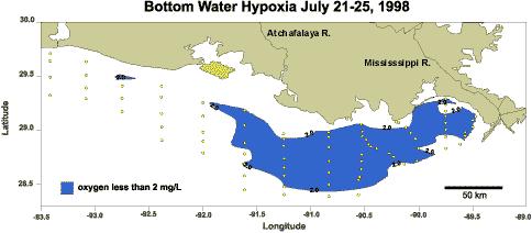 GOM Hypoxia Since 1993 Source: Rabalais, Turner, and Wiseman 1993 July 23-27, 1996 1994 30.0 29.5 July 23-29, 1997 L.