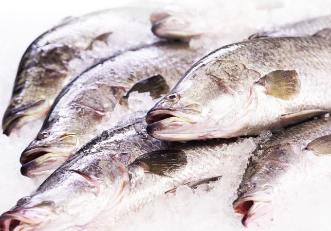 14 Mainstream Aquaculture Product Credentials Pack Mainstream s Products: