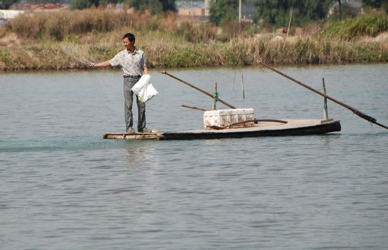 2.Overview of Dongying Traditional aquaculture