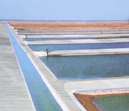 3.Solutions Solutions-Ecological aquaculture As of 2014,