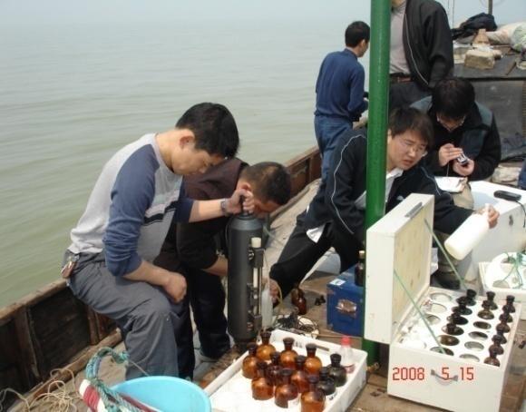 After seawater is discharged from sea cucumber farming ponds into shrimp farming ponds, shrimps
