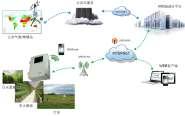 IOT & Sensor Technology Application for Irrigation Automation Dr.