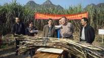 Engineering case-sugar cane irrigation in Guangxi province Engineering case-cotton and red dates irrigation automation project in Xinjiang SUMMARY IOT & Sensor Technology is capable of automatically