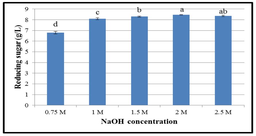 The NaOH-treated OPEFB fibers (2 to < 10 mm in length) were subjected to steam explosion pretreatment at substrate loading levels of 2, 3, or 4% (w/v) and analyzed for reducing sugar.