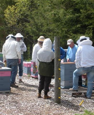 Field Day: Getting Students Into Bees Schedule for a perfect April day Enlist several