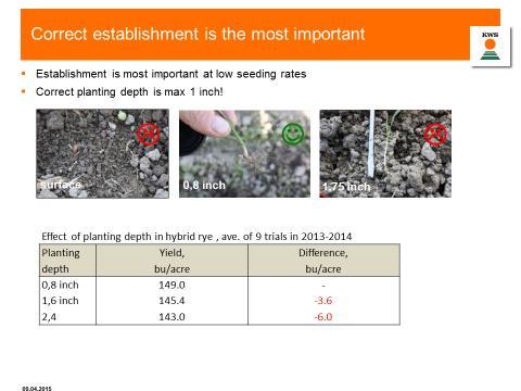 Seeding depth has a clear effect on yields.