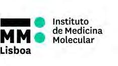 Institute and Instituto de