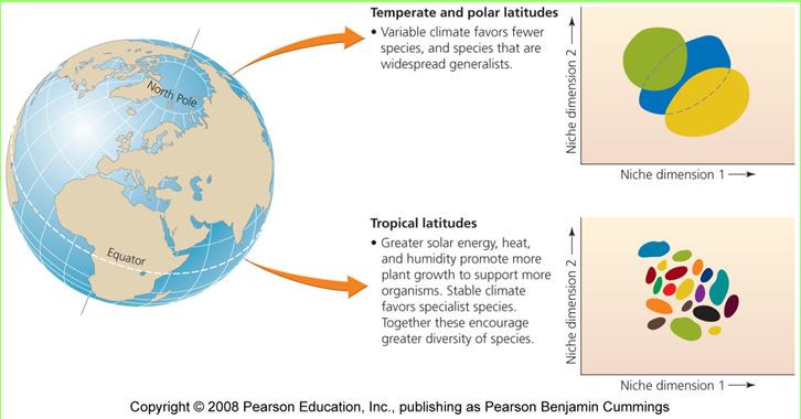 Biodiversity is unevenly distributed Living things are distributed unevenly across Earth Latitudinal gradient = species richness increases towards the equator Extinction is a natural process