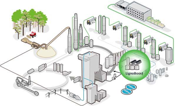 The LignoBoost Process The plant is located in the recovery island in the pulp mill, processing a part of the black liquor going through the evaporation plant (Figure 1).