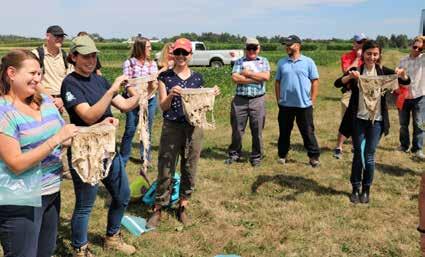 Soil your Undies program burying cotton briefs in your soil then dig them up later to see how well soil biology in your fields