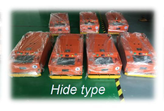 Fork type Hide type Carry type Application Examples AGV