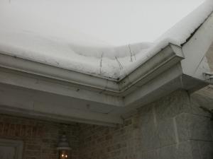 EXTERIOR INSPECTABLE ITEMS Gutters: MAINTENANCE - Debris is blocking water flow from the gutters.