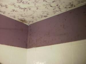 Mold can create an indoor air problem and is considered by some to be a health hazard. Appropriate mold mitigation is recommended by a qualified contractor.