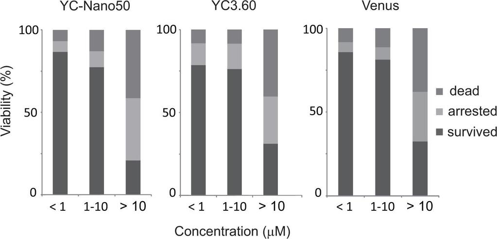 Supplementary Note 4 Toxicity of YC-Nano in short-term expression.