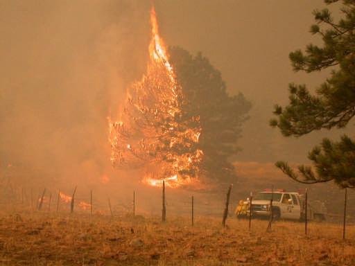 Local Impacts Earlier snowmelt Longer droughts Increased flood risk More intense forest fires Large-scale
