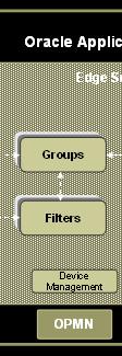 Oracle Edge Server Device Groups and Filters Device Groups Allows administrators to logically group devices together Group devices for cross filtering Filter Framework Remove unwanted or low-level