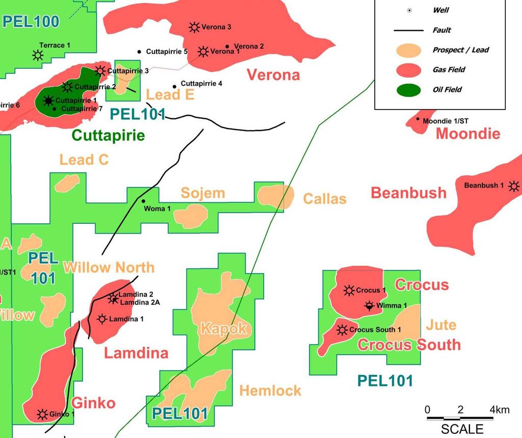 PEL 101 Northern Patchawarra Trough Permit area ~154 km 2 (38,000 acres). Gas discoveries at Ginko & Crocus with several follow-up opportunities mapped.