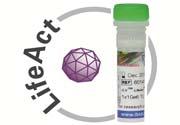 Cells & Reagents LifeAct Price / LifeAct Plasmids 60101 p CMV -LifeAct-TagGFP2: plasmid, lyophilized, 20 μg 1 $840,00 60102 p CMV -LifeAct-TagRFP: plasmid, lyophilized, 20 μg 1 $840,00 60106 p CAG