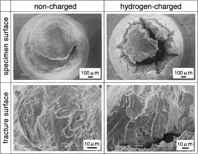 Effect of Morphology of Copper Precipitation Particles on Hydrogen Embrittlement Behavior 2215 Fig. 5 Specimen surfaces and fracture surfaces of the peak aged steel tested.
