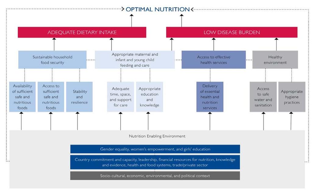 USAID MULTI-SECTORAL NUTRITION