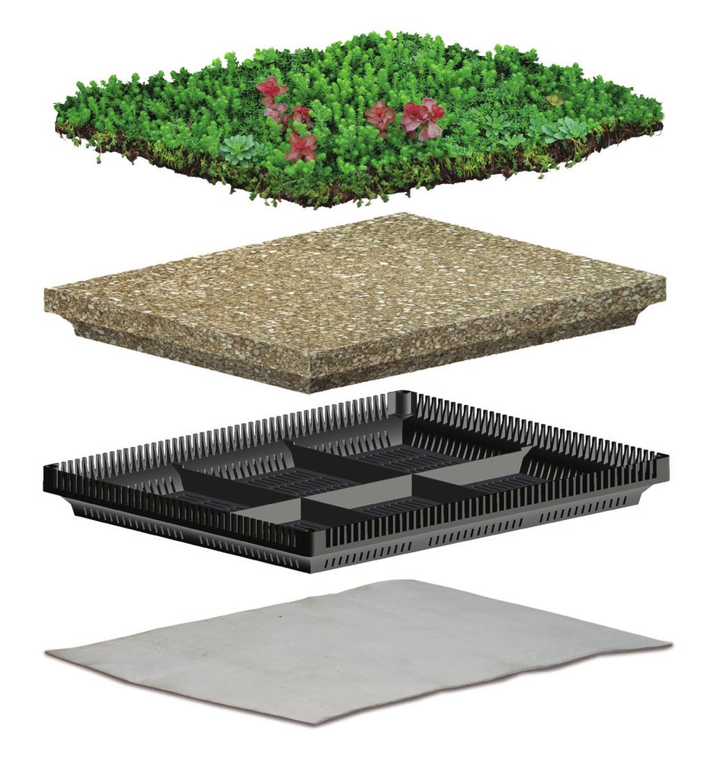 MODULAR GREENROOF SYSTEM CT Modular Green Roof System combines the aesthetics and performance of continuous green roof systems with the simplicity of pre-vegetated trays.