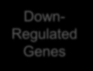 Enrichment: Find interesting pathways Down- Regulated Genes Up-Regulated Genes Pathway Database GO Database Pathway Database GO Database Enriched Pathways
