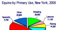 EQUINE INVENTORY There are 197,000 Equines in NYS 87,000 Pleasure 44% 11,100 Lessons 27,000 Competition 14% 14,500 Racing 26,900 Breeding 14% 4,700 Specialty 25,800 Other Agriculture Exercise