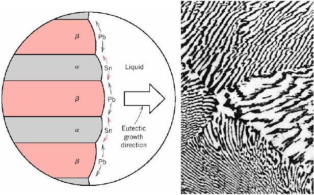Development of microstructure in eutectic alloys (IV) Solidification at the eutectic composition Compositions of α and β phases are very different eutectic reaction involves redistribution of Pb and