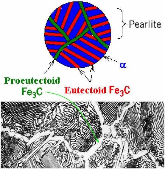 Microstructure of hypereutectoid steel (II) Hypereutectoid alloys contain proeutectoid cementite